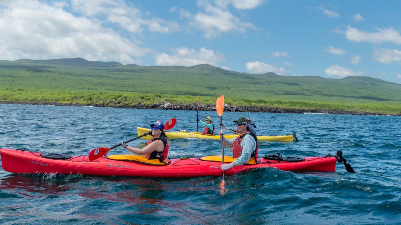5. PADDLE NEAR THE ORCAS